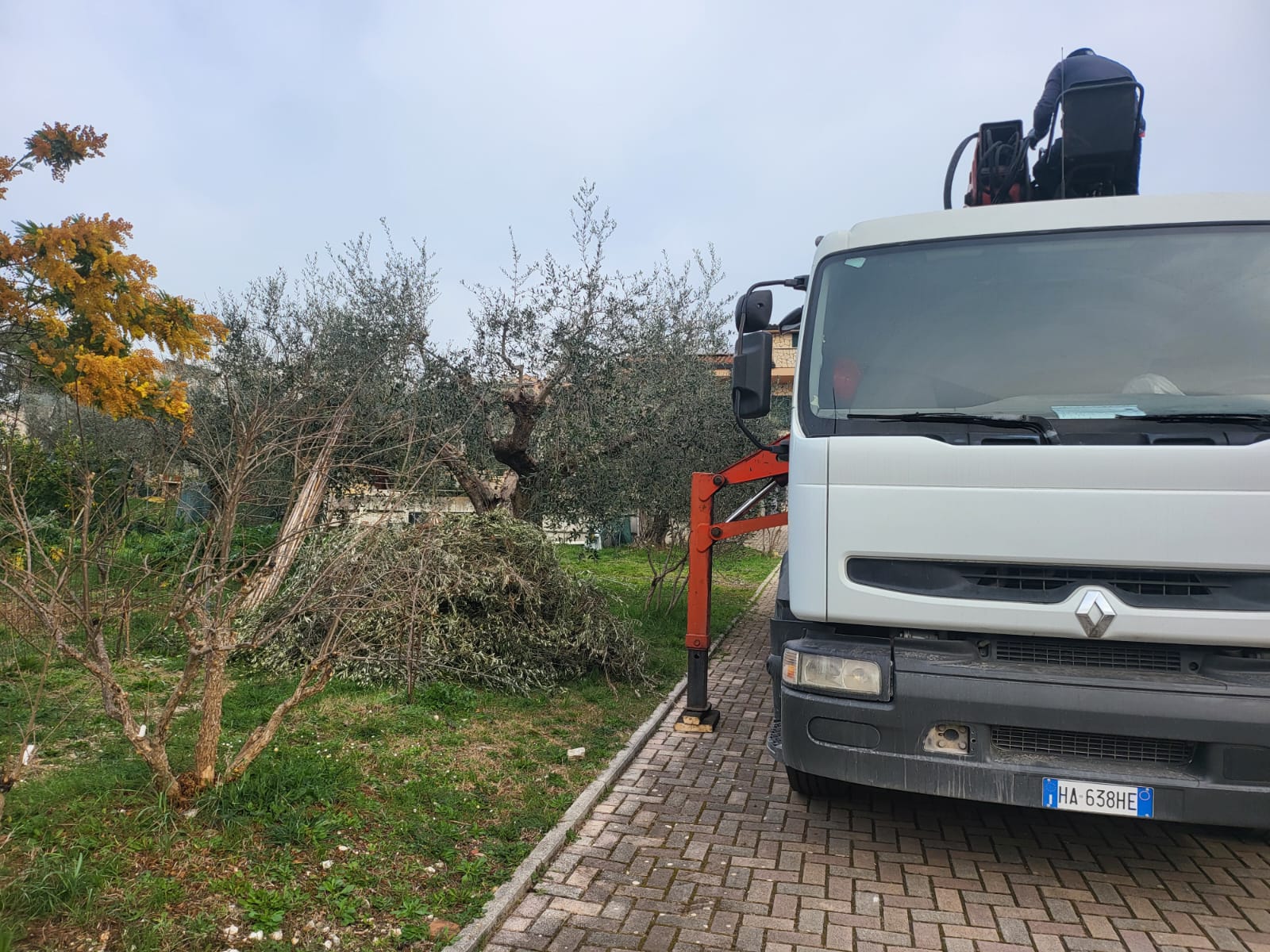 Taglio erba, sfalci e cura del prato — manutenzione aree verdi Roma